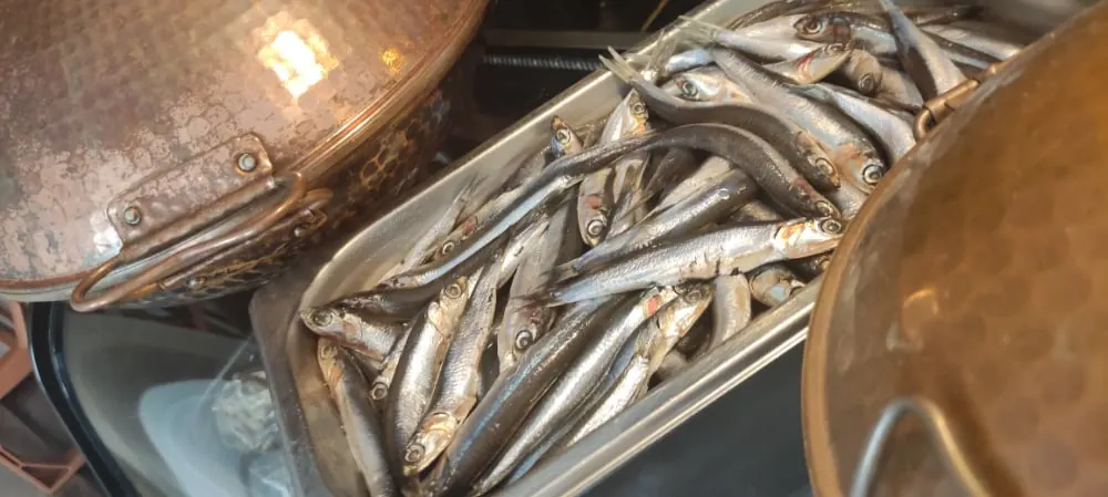 Boquerones frescos