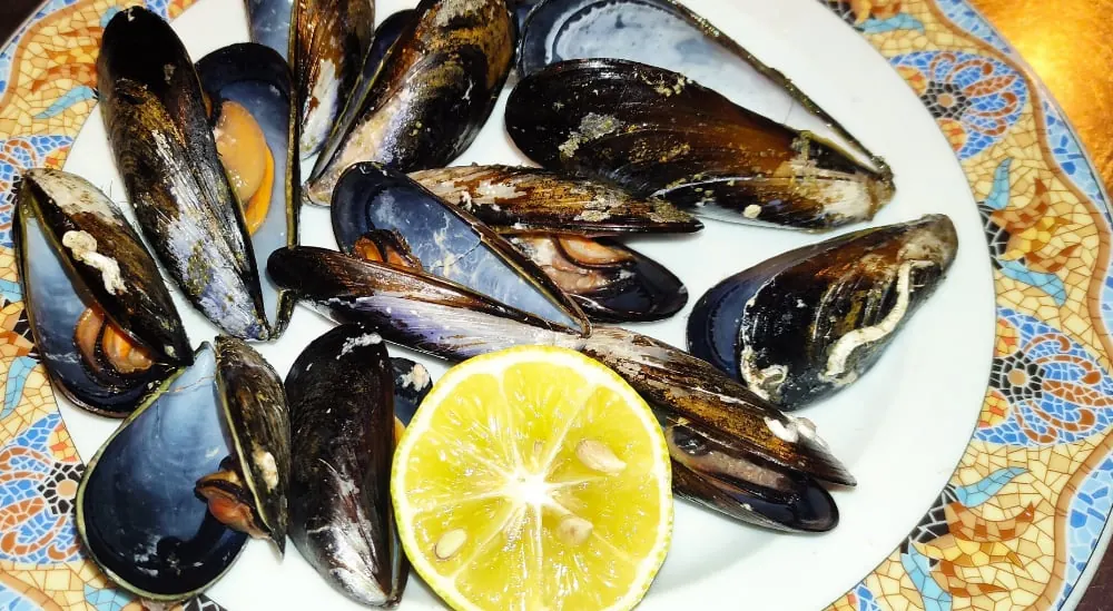 Mejillones